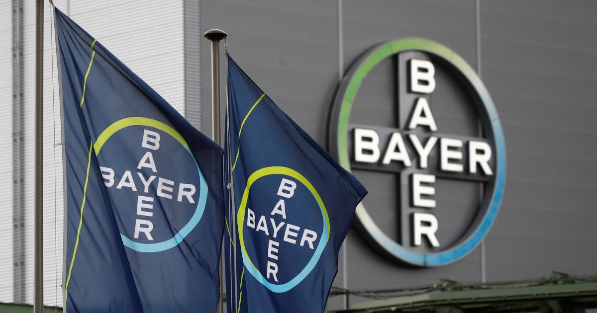 Bayers Große Pharma-Hoffnung Scheitert, Aktienkurs Bricht Ein