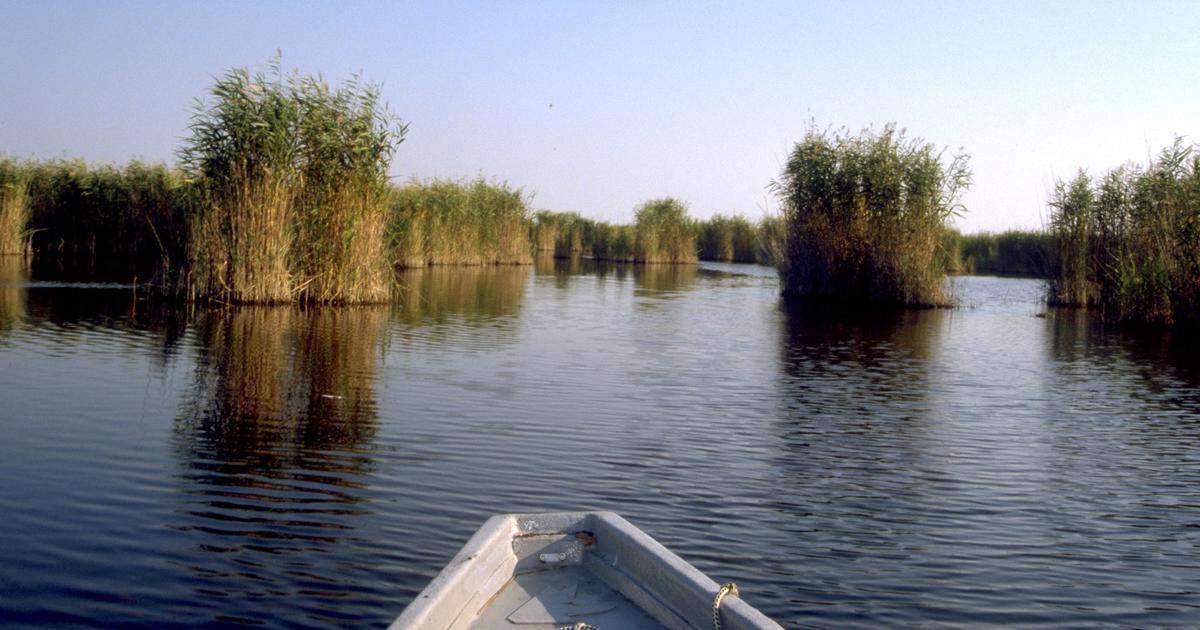 Zukunft-f-rs-Welterbe-Neue-Regeln-f-r-Nationalpark-Neusiedler-See-Seewinkel