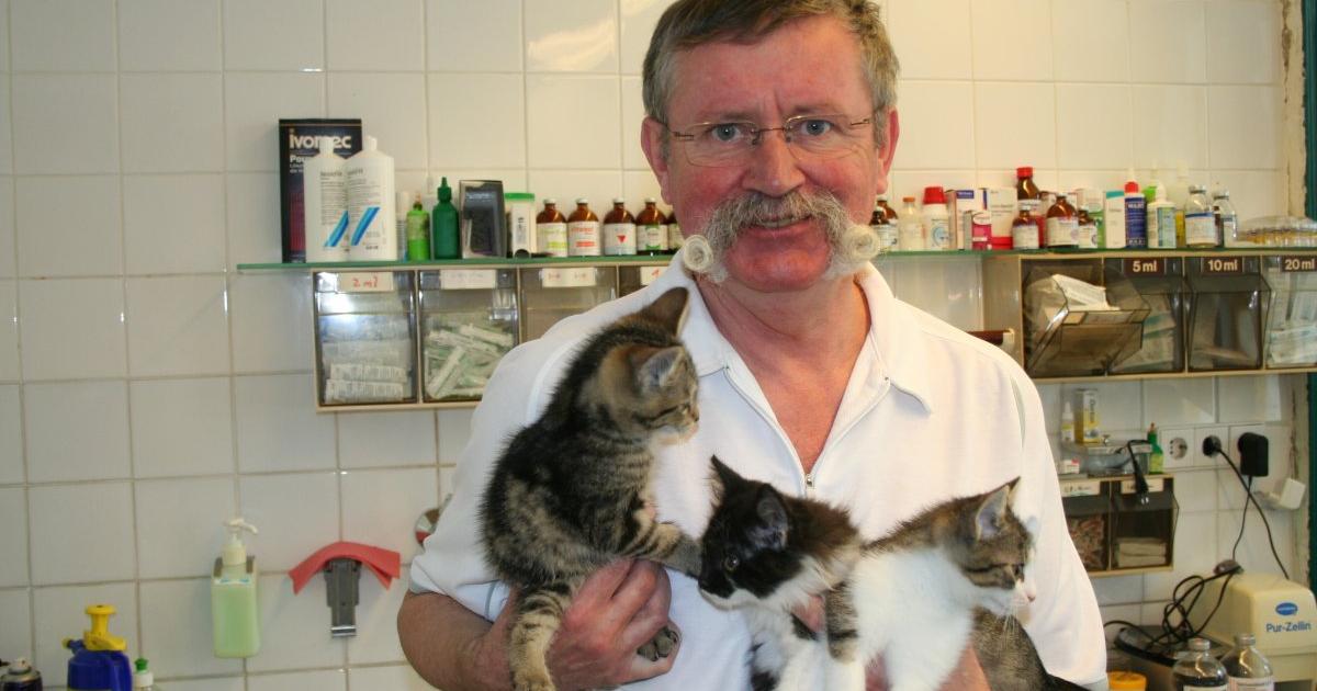Partnersuche tierarzt