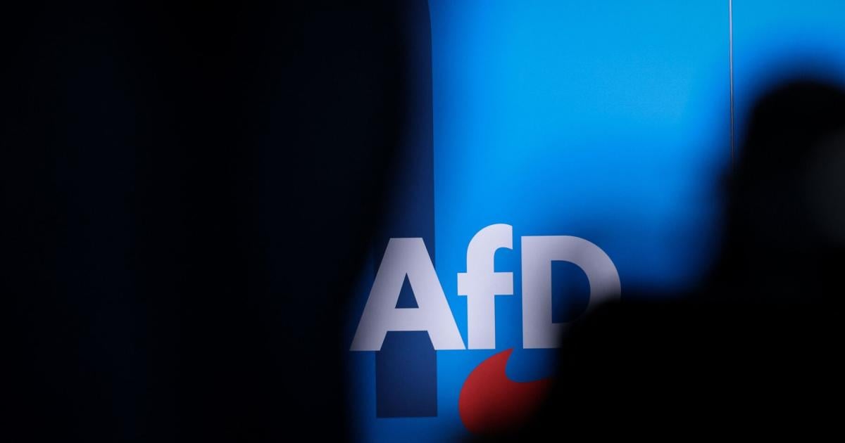 Il gruppo populista di destra francese taglia i legami con l’AfD