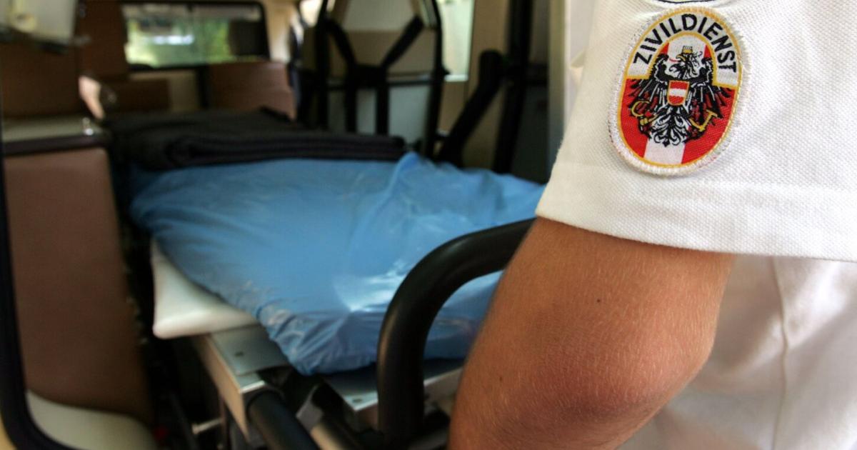 Beh-rde-kam-Zivildienst-Verweigerern-auf-die-Spur