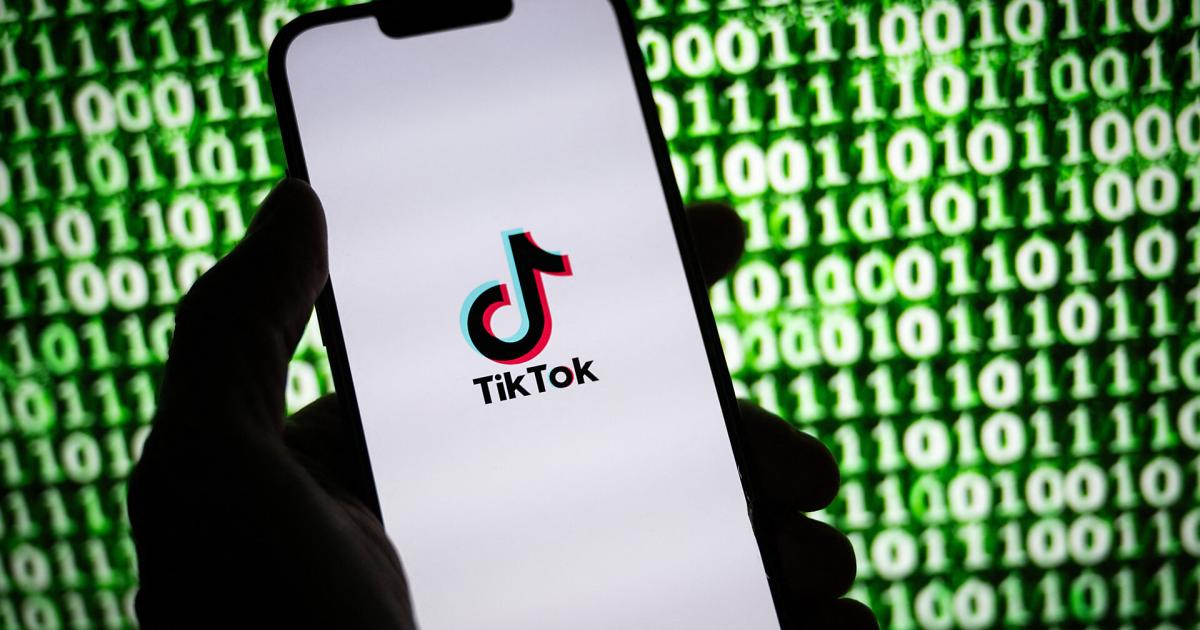 US wants ban: TikTok boss mobilizes users
