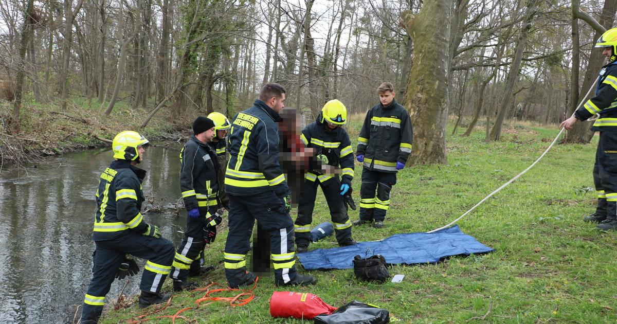 Rescue at Laxenburg Castle Park: Walker Falls into Canal and Firefighters Save Her