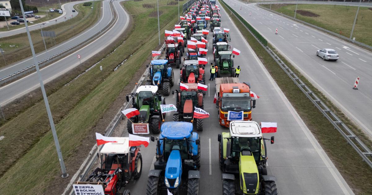Farmers across Poland and the Czech Republic stage nationwide protests