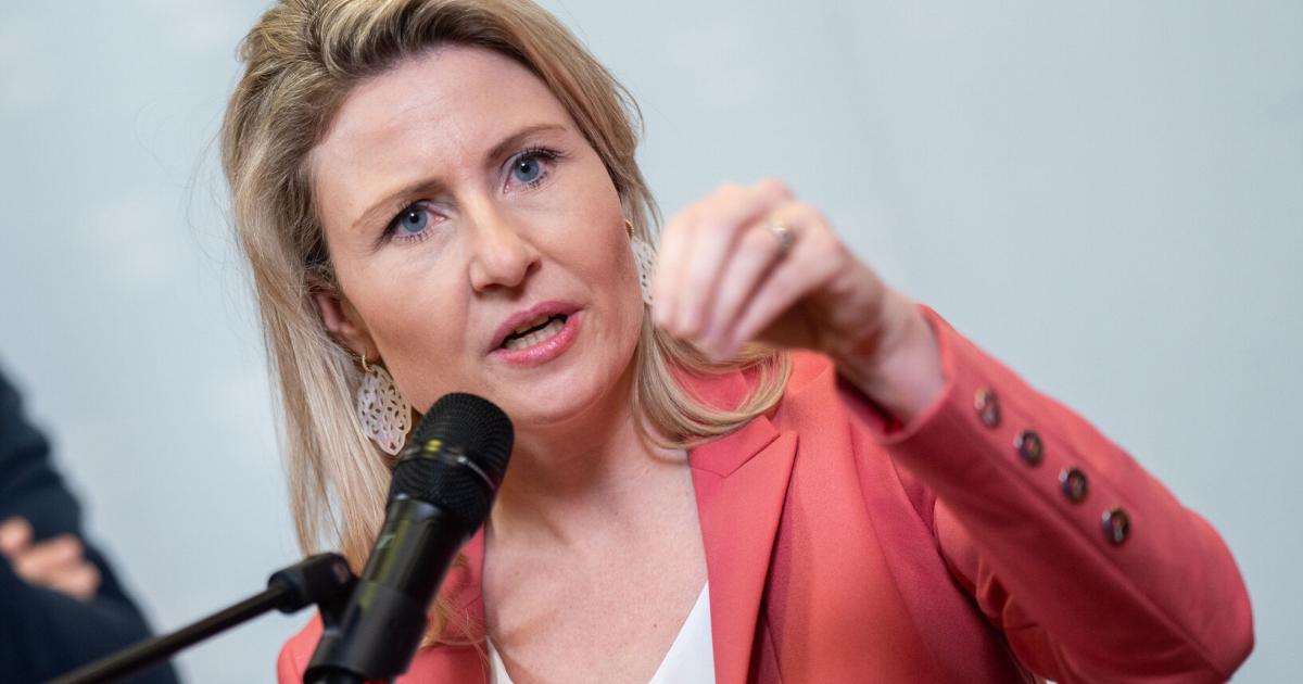 -vp-ministerin-hat-genug-susanne-raab-verl-sst-die-politik