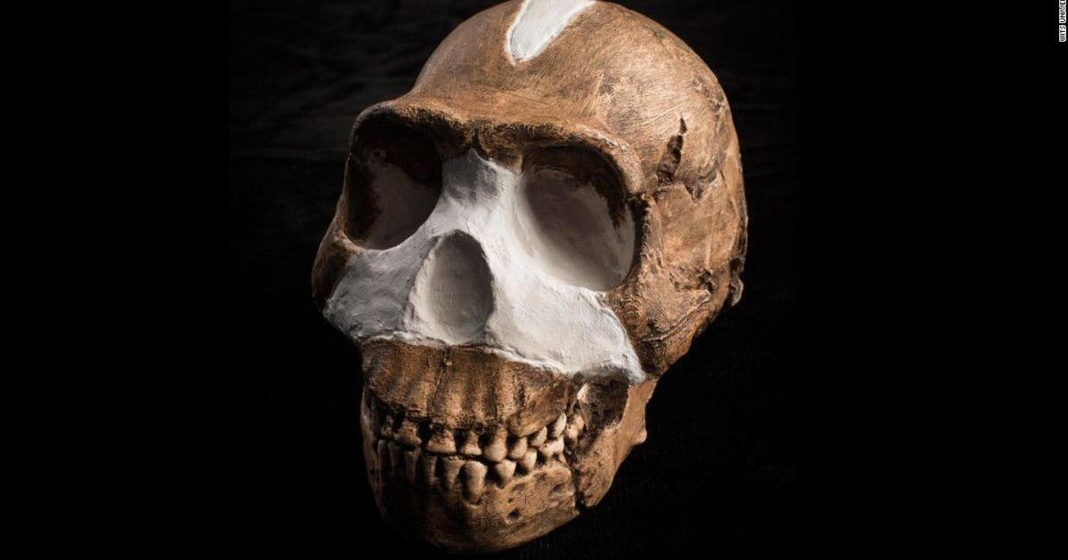 Homo naledi: Weitere Skelette geben Hinweise auf Bestattungsriten | kurier.at