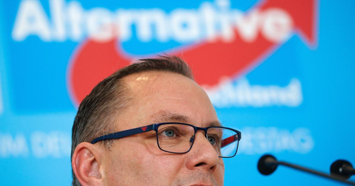 Moscow is said to have planned AfD strategy