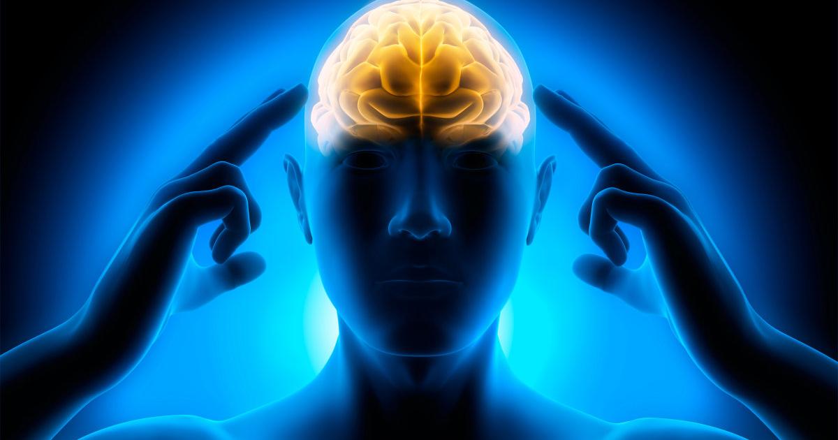 Epilepsie partnersuche