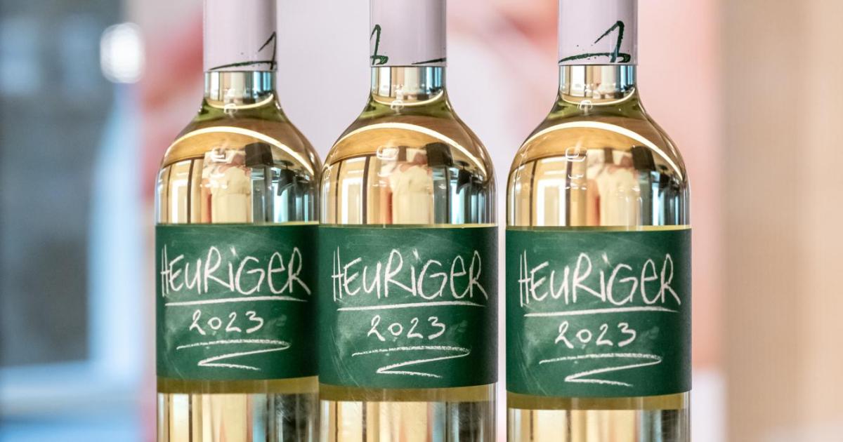 Rewe Austria is selling wine in plastic bottles for the first time