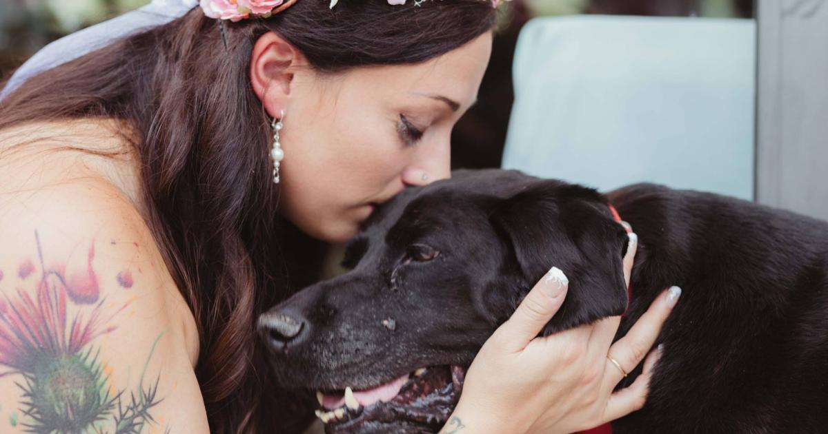 Todkranker Hund begleitet Besitzerin zum Traualtar | kurier.at Todkranker Hund begleitet Besitzerin zum Traualtar | kurier.at