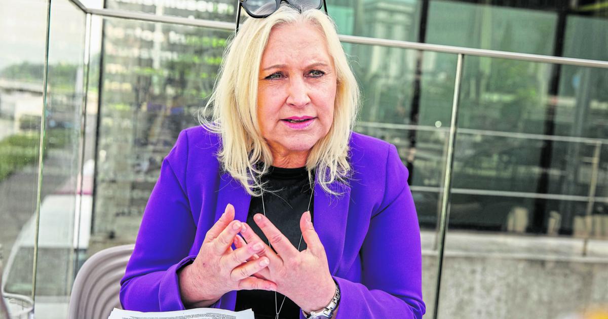 Winzig: „Das Verbrennerverbot verschieben“ | Kurier