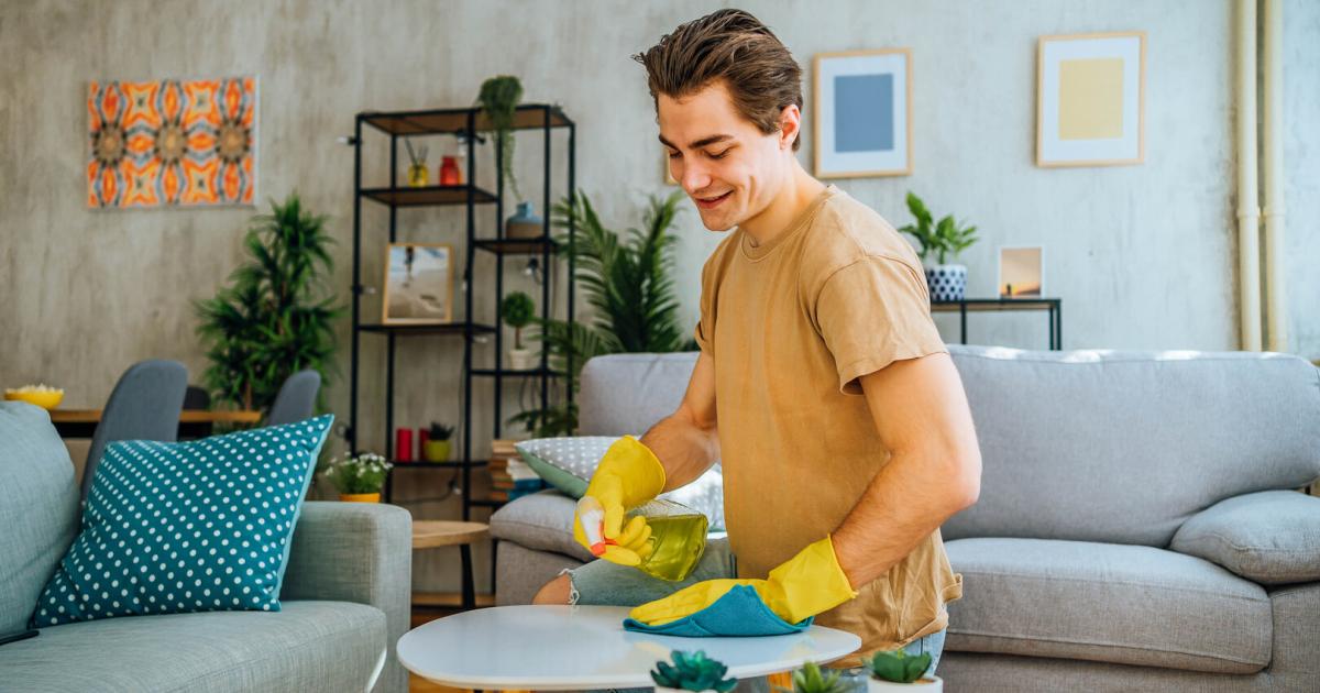 Hygiene or visitors? What really drives Austrians to clean?