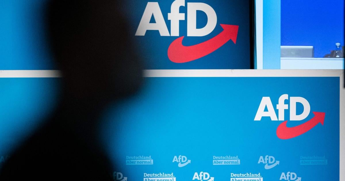 bayerische-afd-beschlie-t-resolution-zur-remigration