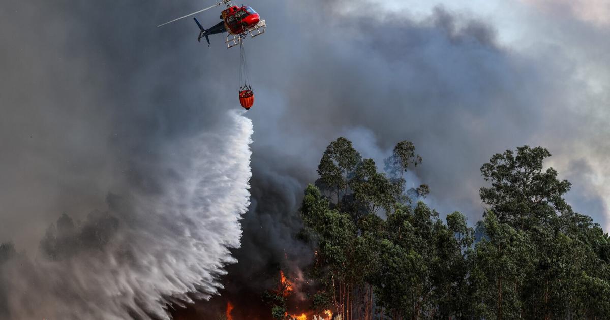 At least three killed in forest fires in Aveiro