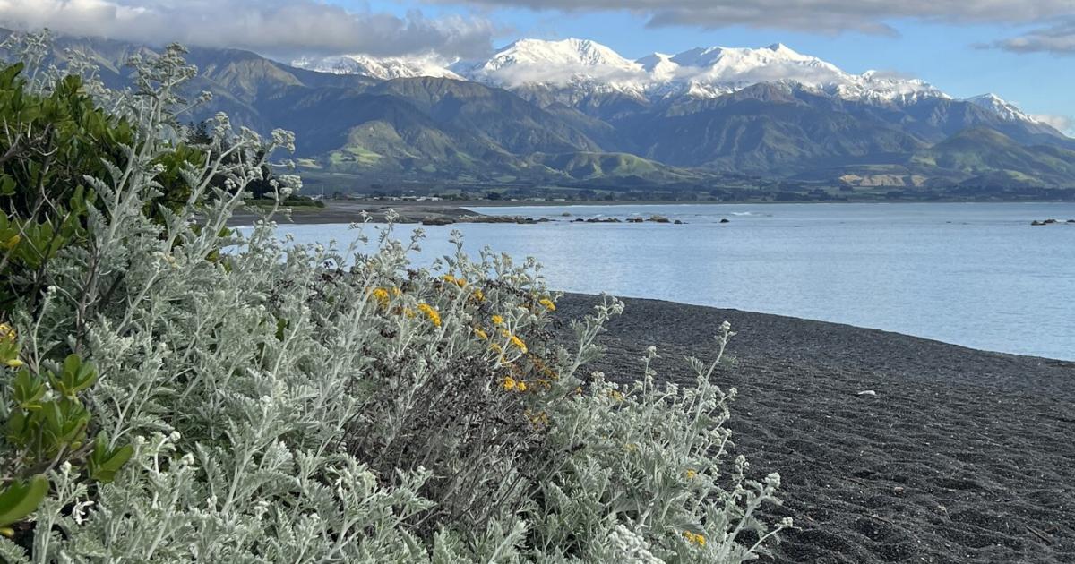 Through Maori Eyes: Rediscovering New Zealand