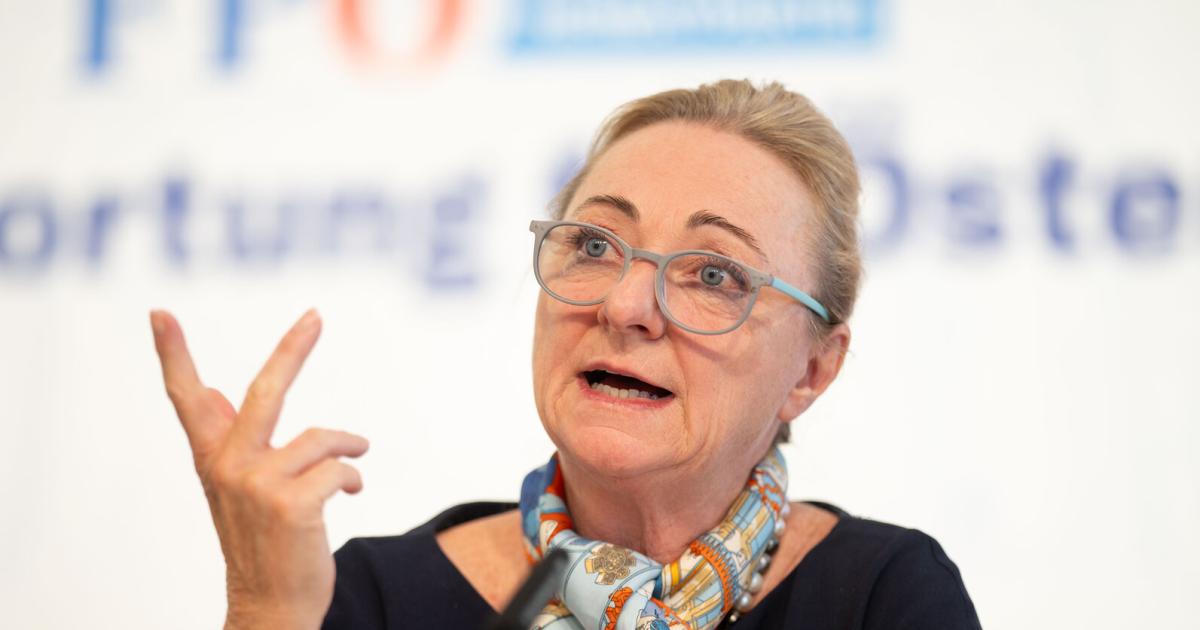 FP-Wirtschaftssprecherin-Dann-bricht-das-Kartenhaus-zusammen-