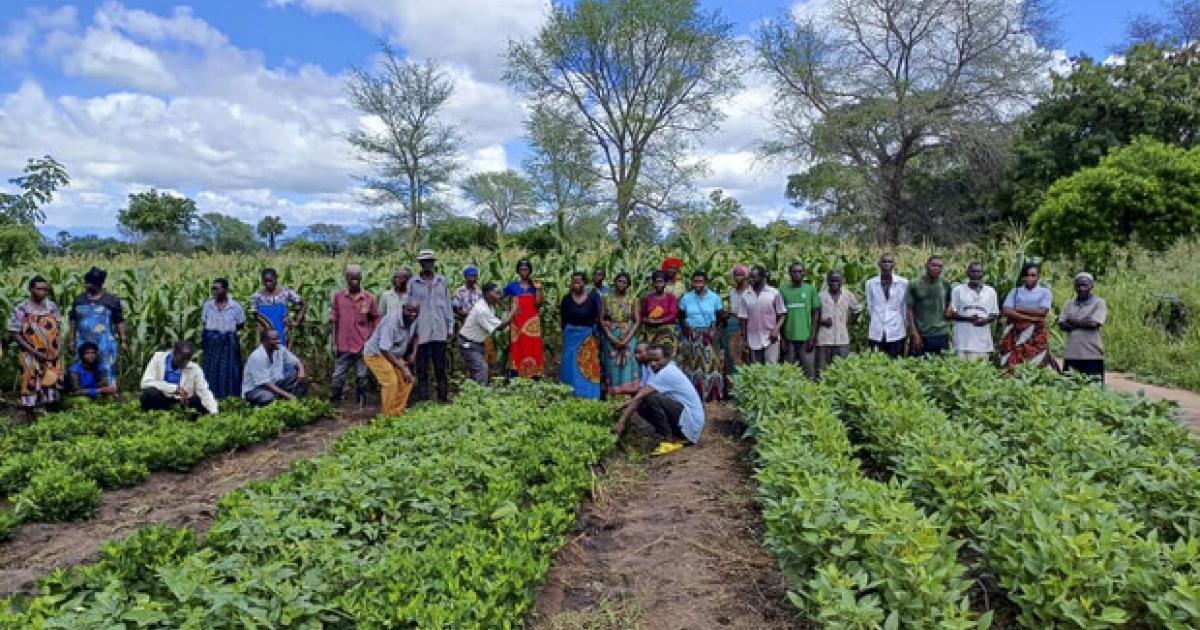 Klimakrise-im-s-dlichen-Afrika-Forschung-f-r-ein-krisenfestes-Ern-hrungssystem
