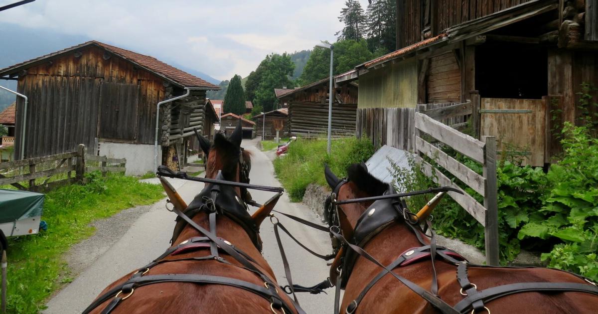 kutschenunfall-bei-leonhardiritt-zwei-schwerverletzte-in-o