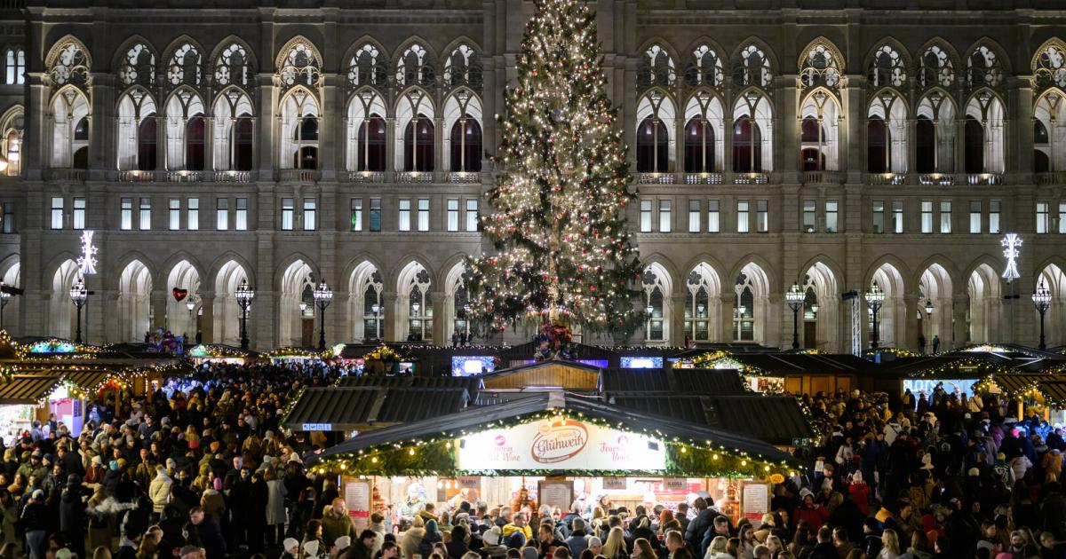 wien-erstrahlt-wieder-weihnachtsbeleuchtung-in-einkaufsstra-en-eingeschaltet