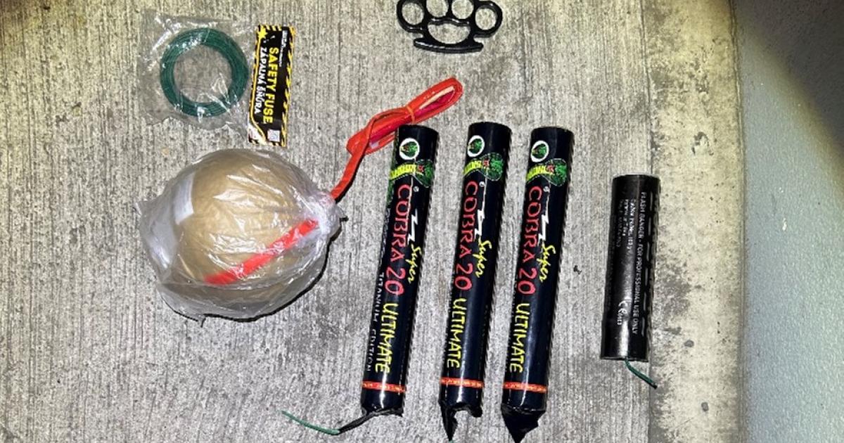 20-J-hriger-in-Wiener-S-Bahn-Zug-mit-205-Pyrotechnika-erwischt