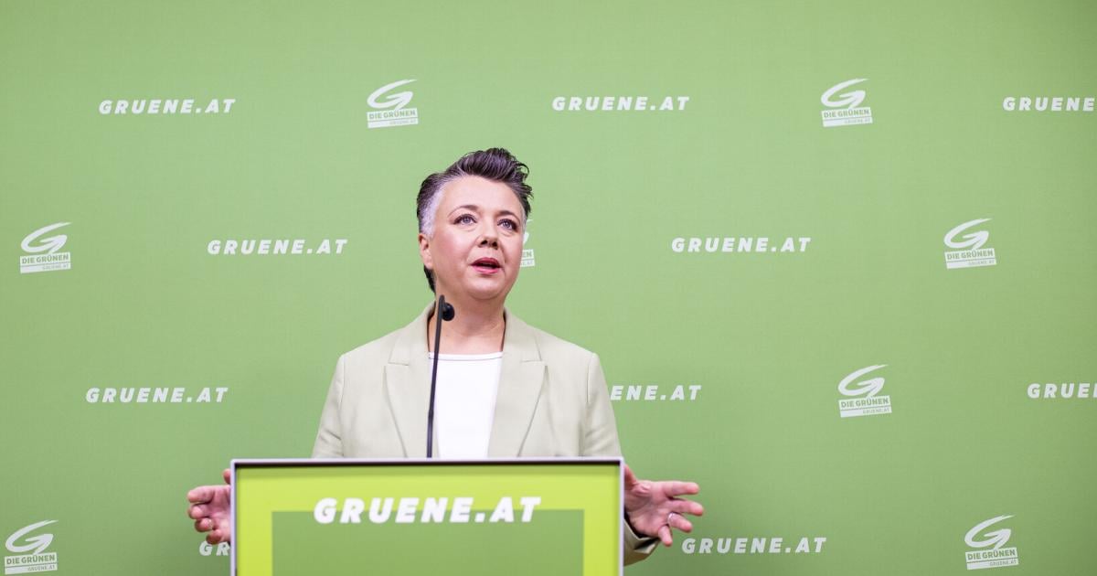 nach-privatanklage-von-sellner-gericht-will-auslieferung-von-olga-voglauer