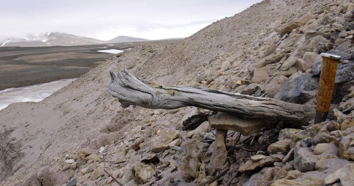 tauender-permafrost-wachsende-gefahr-f-r-millionen-in-arktischen-regionen