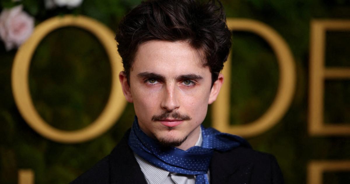 Timoth-e-Chalamet-Doppelleben-als-ber-hmter-britischer-Rapper-