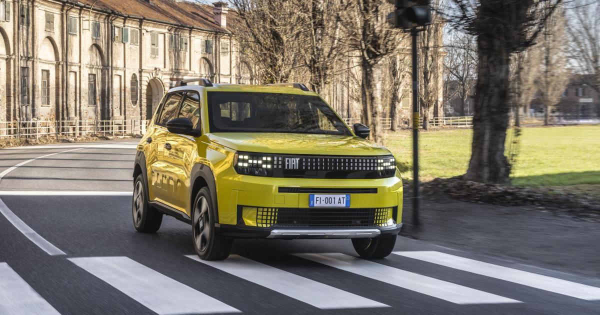 fiat-grande-panda-ein-panda-w-chst-mit-seiner-aufgabe