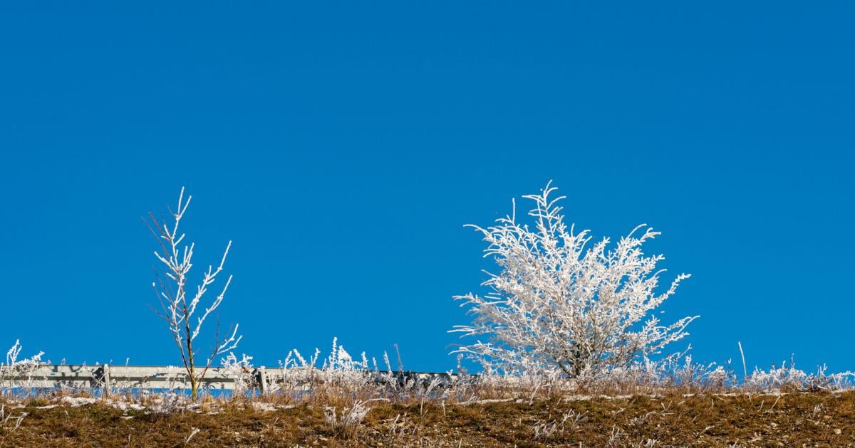 wo-bleibt-der-regen-was-die-extreme-trockenheit-in-teilen-sterreichs-bedeutet