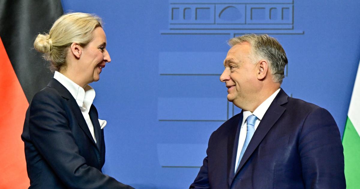 Weidel zu Besuch bei Orbán: "Ungarn ist unser großes Vorbild" | Kurier
