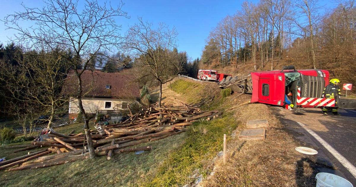 Tonnenschwere-Holzst-mme-landeten-bei-Unfall-in-Obstgarten