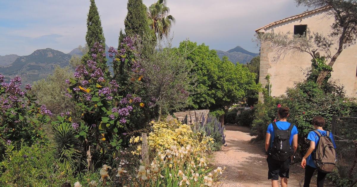 Balearen-Report-Mallorca-die-vielf-ltige-Insel