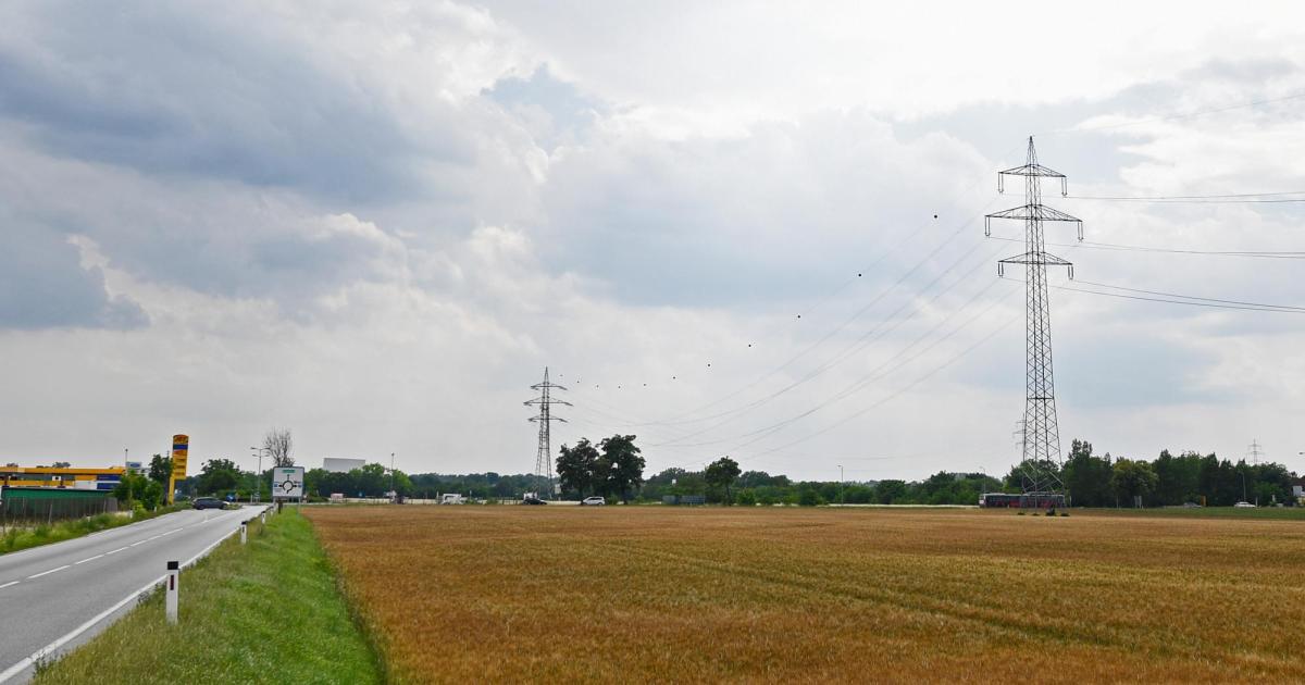 Demo-Wissenschafter-protestieren-gegen-Lobauautobahn