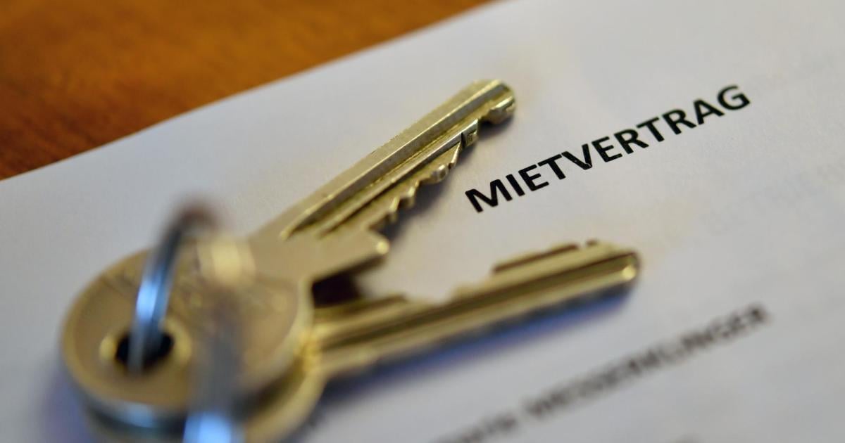 Gr-ne-stimmten-doch-mit-Regierung-f-r-Mietpreisbremse