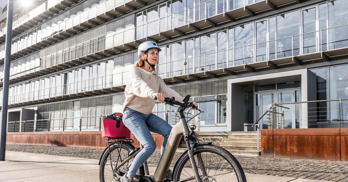 Von-Trekkingrad-zum-E-Bike-Bestseller-Die-Evolution-des-Pegasus-Premio