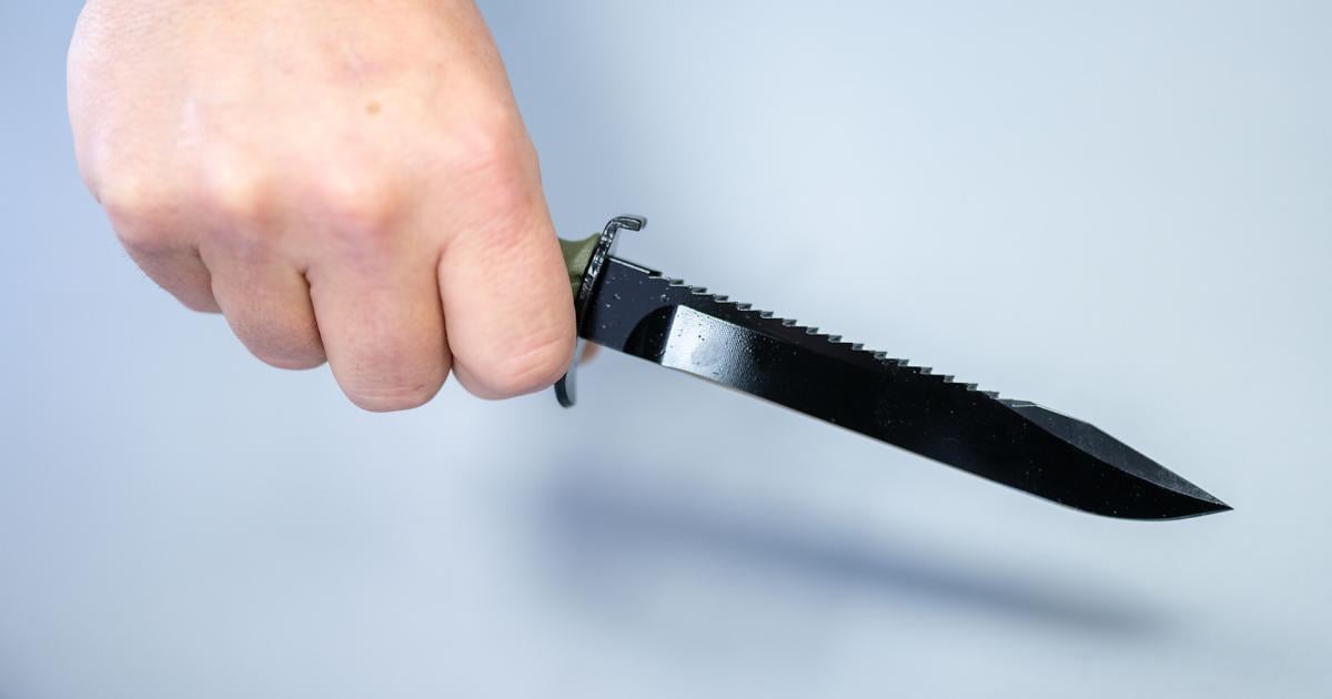 Nach-Streit-mit-Frau-Wiener-Polizei-stoppt-Mann-mit-Messer