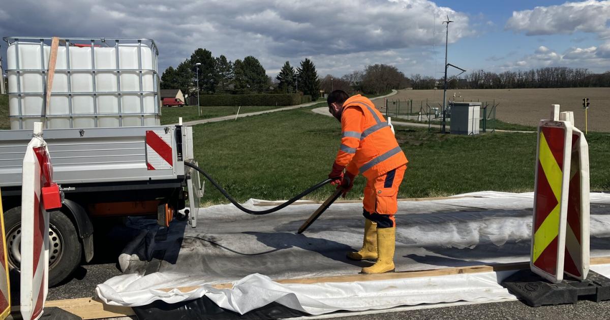 MKS: Österreich bleibt virusfrei, Spannung vor Osterverkehr