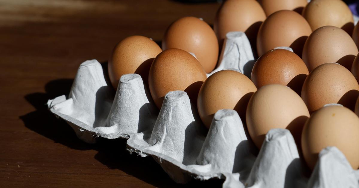 Eier, Zahnseide, Würstchen: Was durch den Zoll-Krieg bald teurer werden könnte