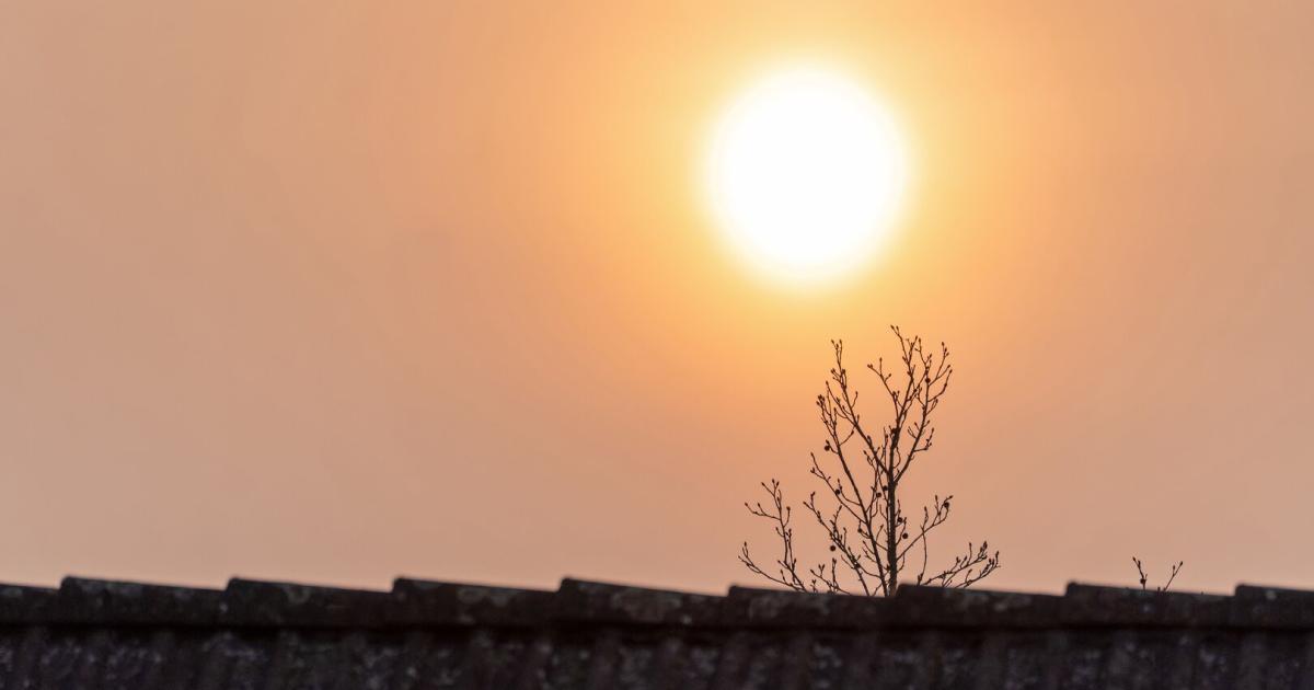 Warum Saharastaub fr PV-Module problematisch ist | Kurier