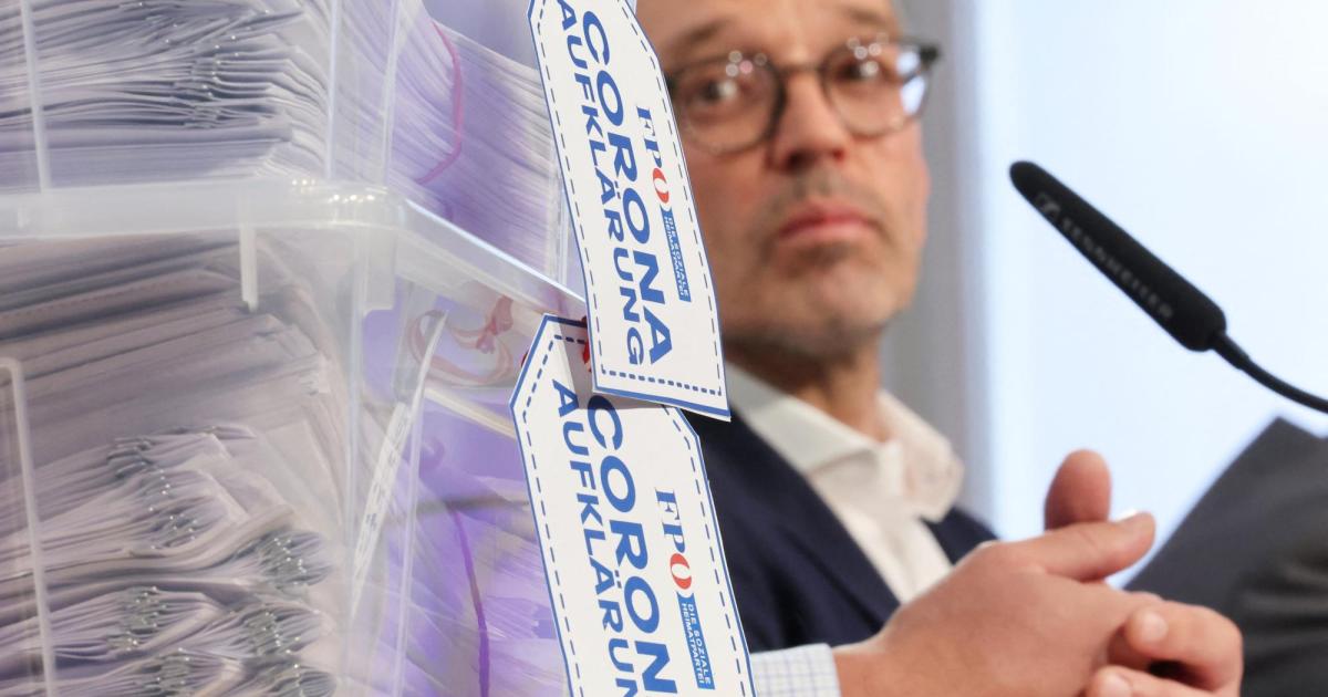 -Parlamentarischer-Gro-angriff-Was-in-den-827-Anfragen-der-Freiheitlichen-steht