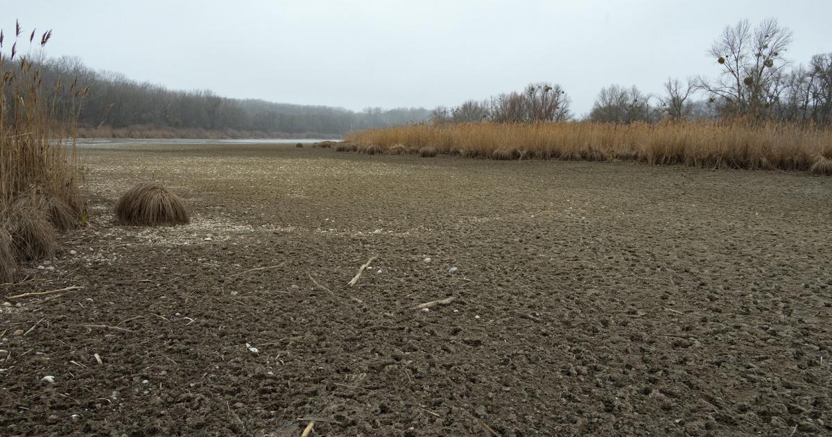 Stadt-Wien-pr-ft-Zuleitung-von-Wasser-in-die-Untere-Lobau