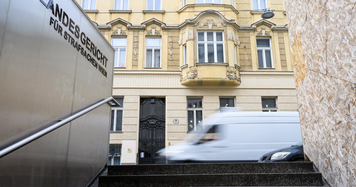 Ex-Kampfsportler-in-Wien-vor-Gericht-Netzwerk-aus-Angst-errichtet-