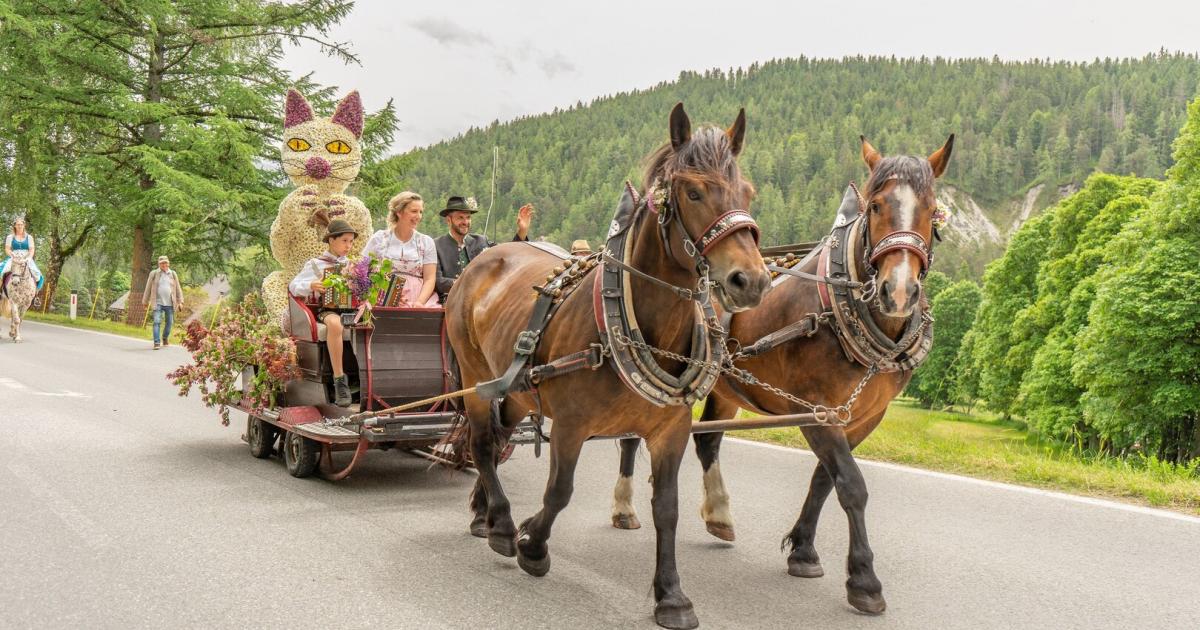 Fr-hlingsfest-Viele-Pferdest-rken-und-doch-umweltfreundlich