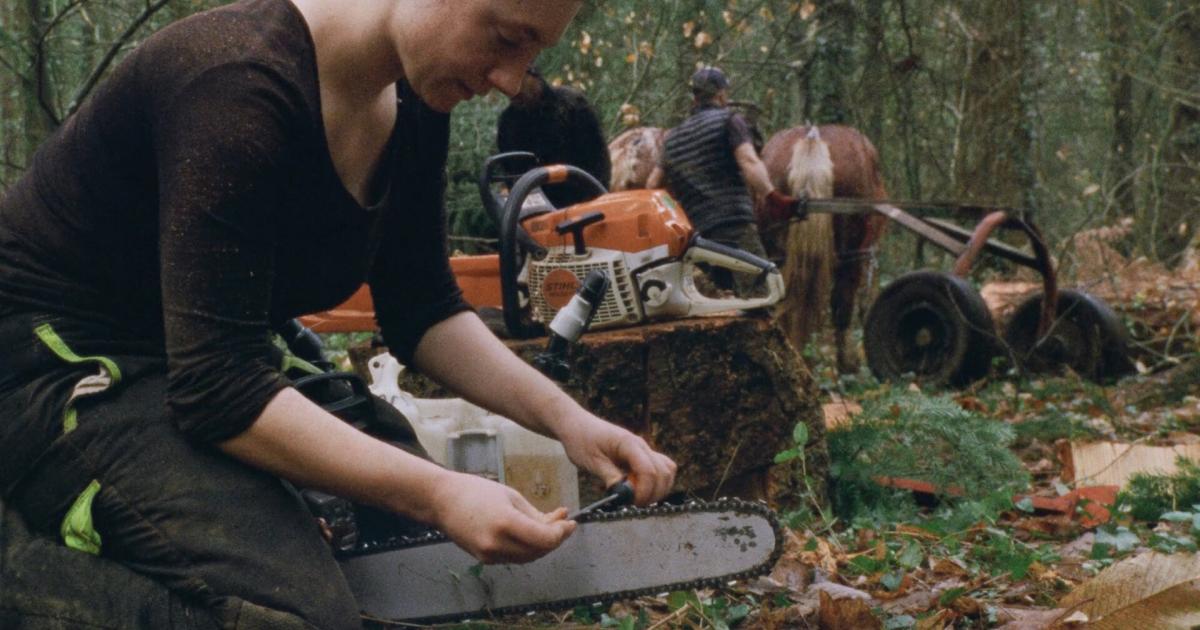 Filmkritik-zu-Direct-Action-Mosaik-einer-Umwelt-Aktivistengruppe