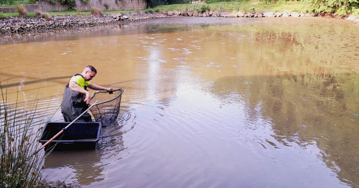 Teich-ohne-Wasser-Feuerwehr-verhindert-Fischsterben