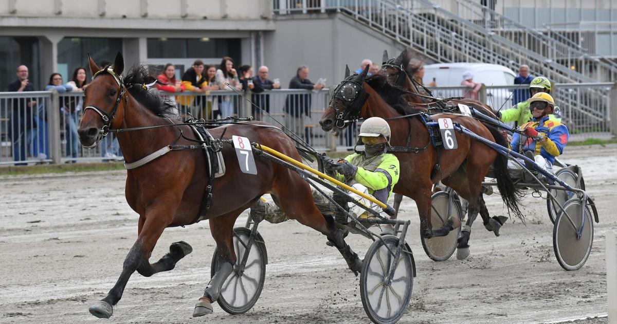 Derby-Fieber-in-Wien-Wenn-in-der-Krieau-die-Hufe-donnern