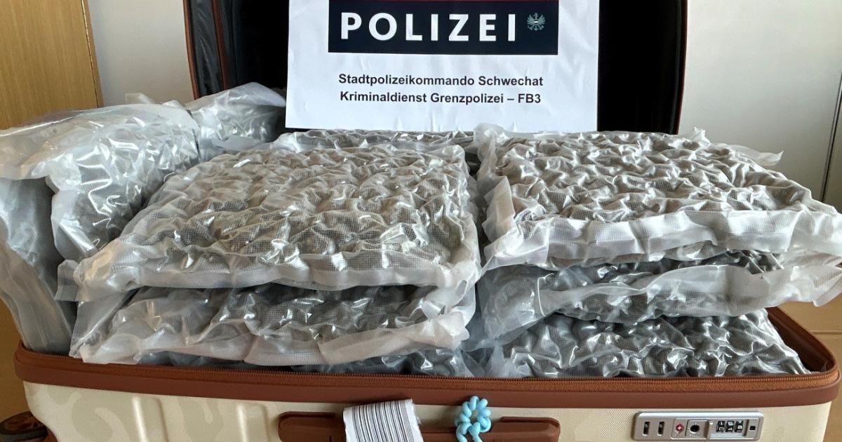 16-Kilogramm-Cannabiskraut-in-Koffer-auf-Flughafen-Wien-entdeckt