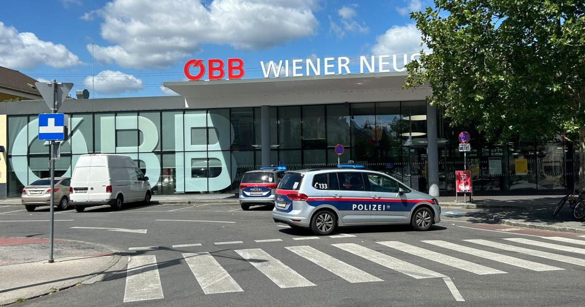 Polizeieinsatz-legt-S-dbahn-bei-Wiener-Neustadt-lahm