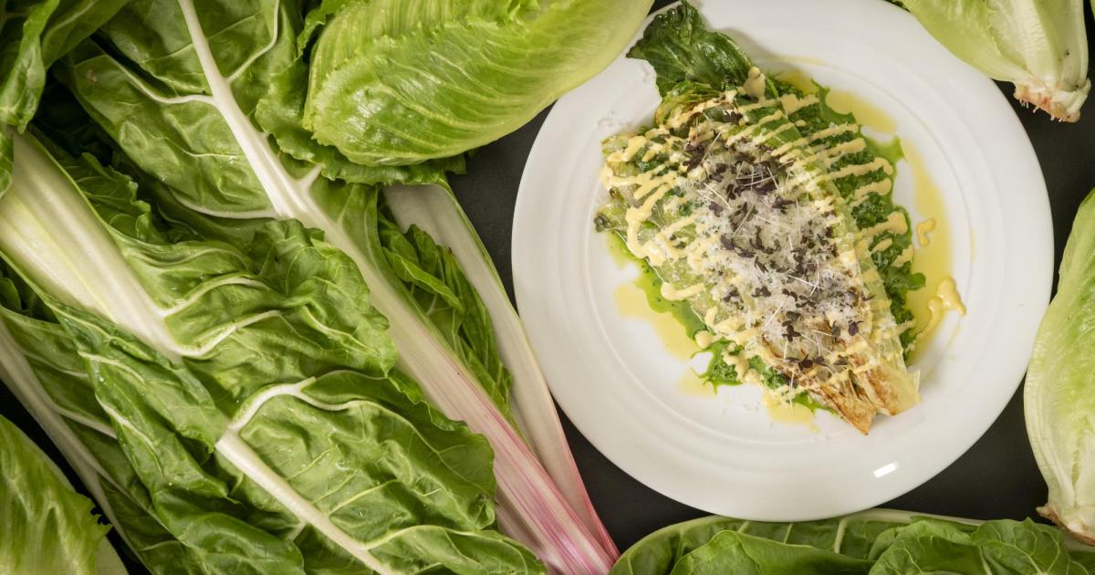Gartenfrisch-aus-dem-Kochsalon-Gebratener-Romana-Salat-mit-Caesar-Salad-Dressing-Mangold-Pesto