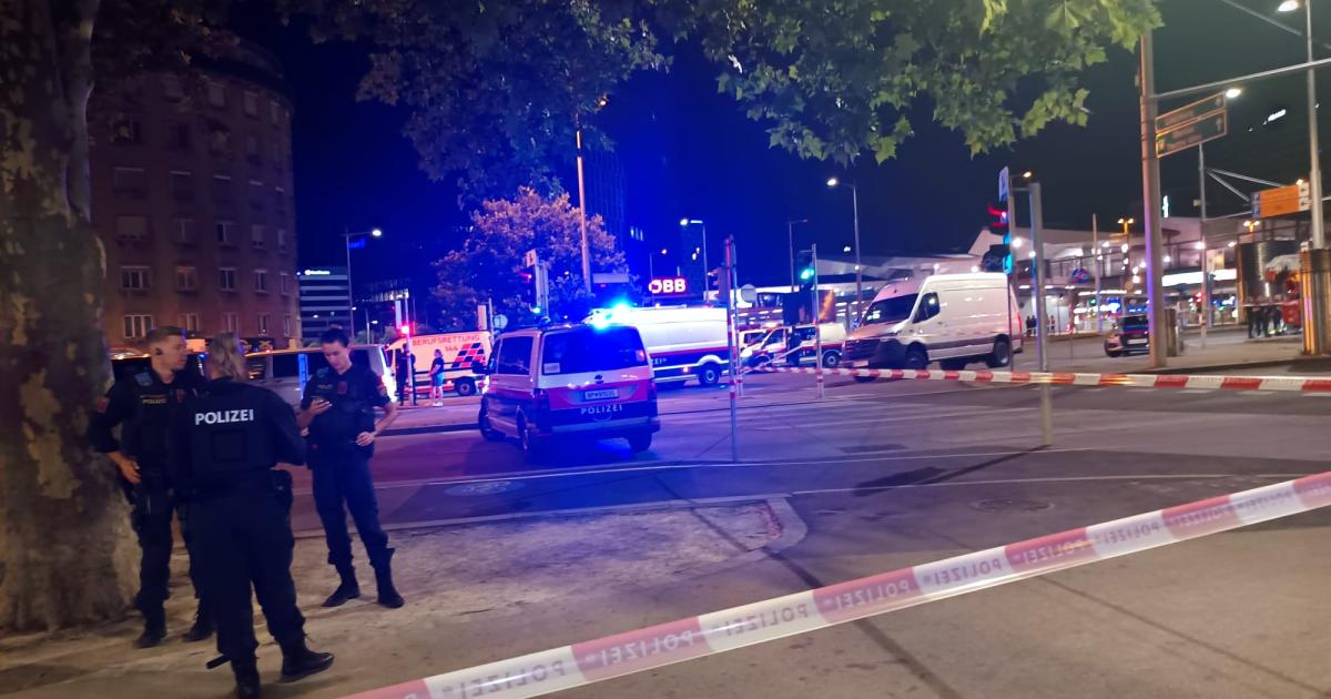 Sch-sse-gefallen-Gro-er-Cobra-Einsatz-beim-Wiener-Hauptbahnhof